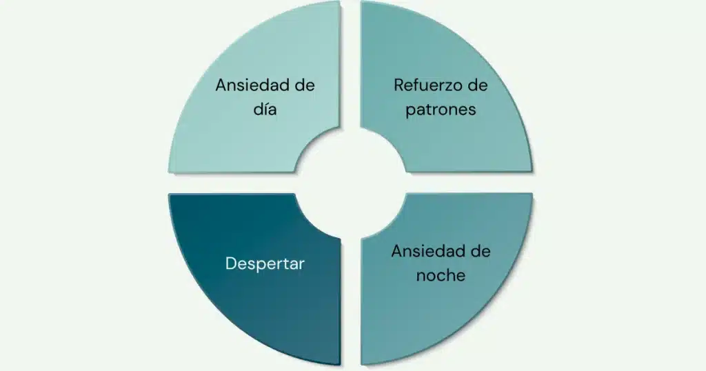 ciclo de ansiedad nocturna y diurna en insomnio de mantenimiento